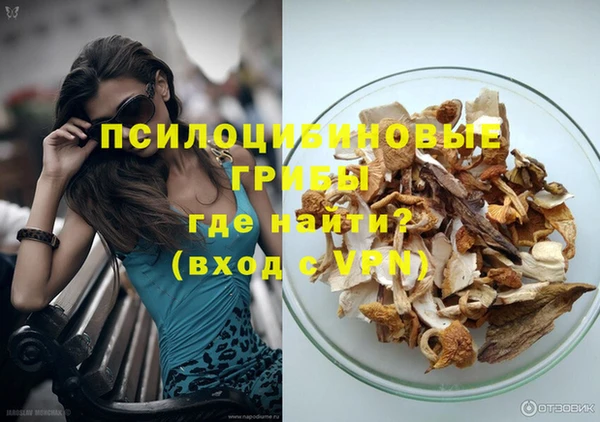 метадон Алексин